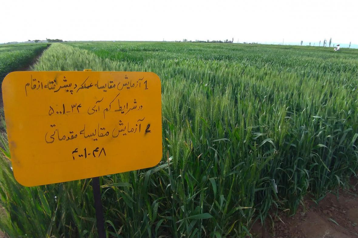 خبرنگاران سالانه 80 پروژه پژوهشی در بخش کشاورزی چهارمحال خبرنگاران سالانه 80 پروژه پژوهشی در بخش کشاورزی چهارمحال و بختیاری انجام می شود