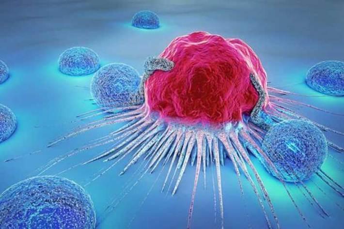 درباره ایمنی درمانی سرطان چه می دانیم؟