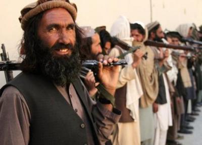 آقایان اصولگرا طالبان قدرت بگیرند شیعه کشی خواهند کرد