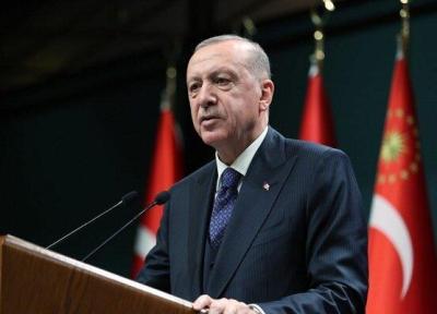 اظهارات اخیر اردوغان دخالت آشکار در امور داخلی تونس محسوب میشود