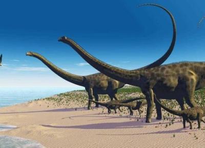 خشکسالی منجر به یک کشف عجیب شد ، رد پای غول پیکرترین دایناسور دنیا را ببینید