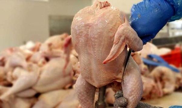 افزایش نرخ مصوب مرغ ؛ هر کیلو سینه مرغ چند؟ ، جدول تغییرات نو قیمت مرغ را ببینید