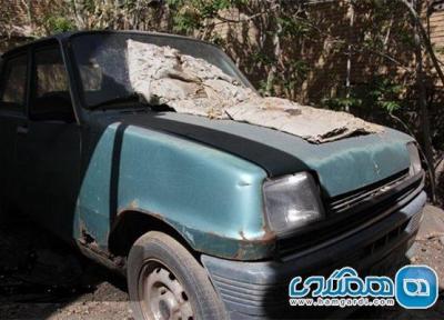 خودرو منتسب به استاد شهریار فروخته شد؟